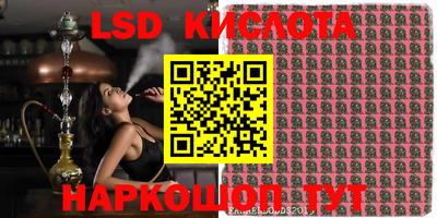 винт Краснодар