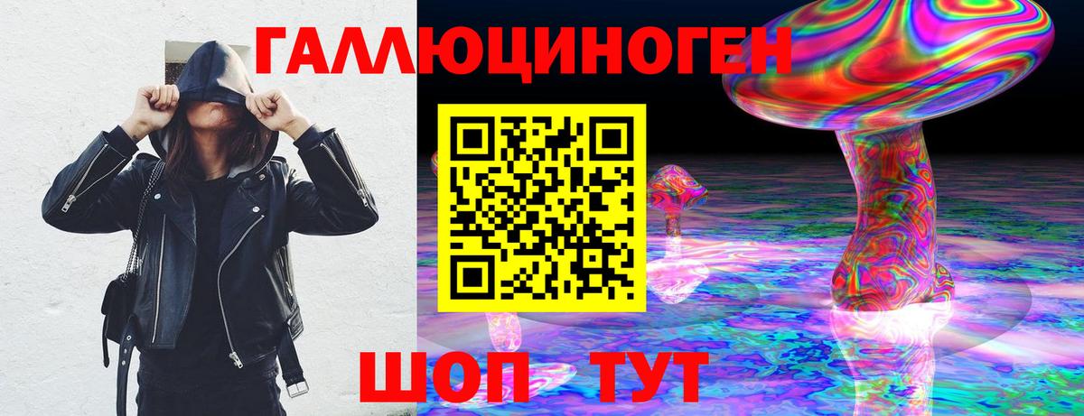 Кизляр  Галлюциногенные грибы Psilocybine cubensis  Вход с VPN 